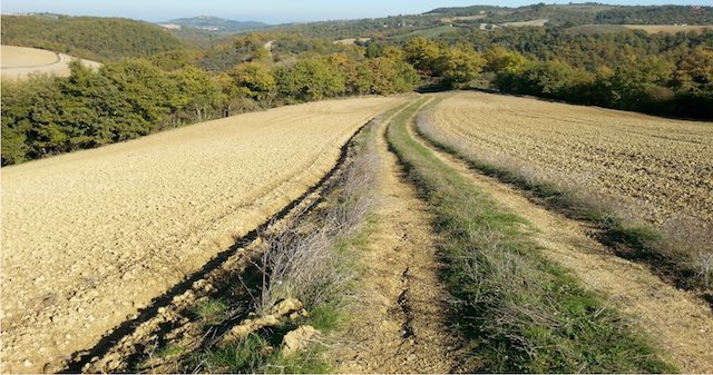 Passeggiata Ecologica sui crinali del Monte Peglia