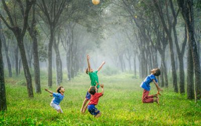 Partito il progetto di conoscenza del mondo dei cavalli per i bambini della scuola dell’infanzia