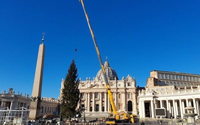 Riserve Unesco del Monte Peglia dal Papa per la consegna dell’albero di Natale