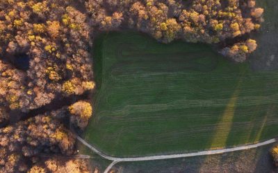 Pagamento compensativo per zone forestali Natura 2000: avviso pubblico concernente modalità e criteri per la concessione delle indennità