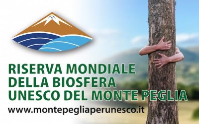 Selezione giovani per il III MAB Youth Forum 2026