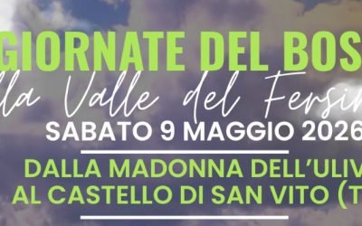 Evento le “Le Giornate del Bosco nella Valle del Fersinone”