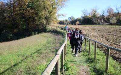Inaugurazione del nuovo percorso del Parco Vulcanologico di San Venanzo: due giornate tra ricerca, natura e scoperta
